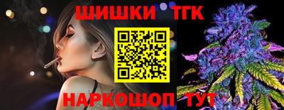 МДПВ Татарск
