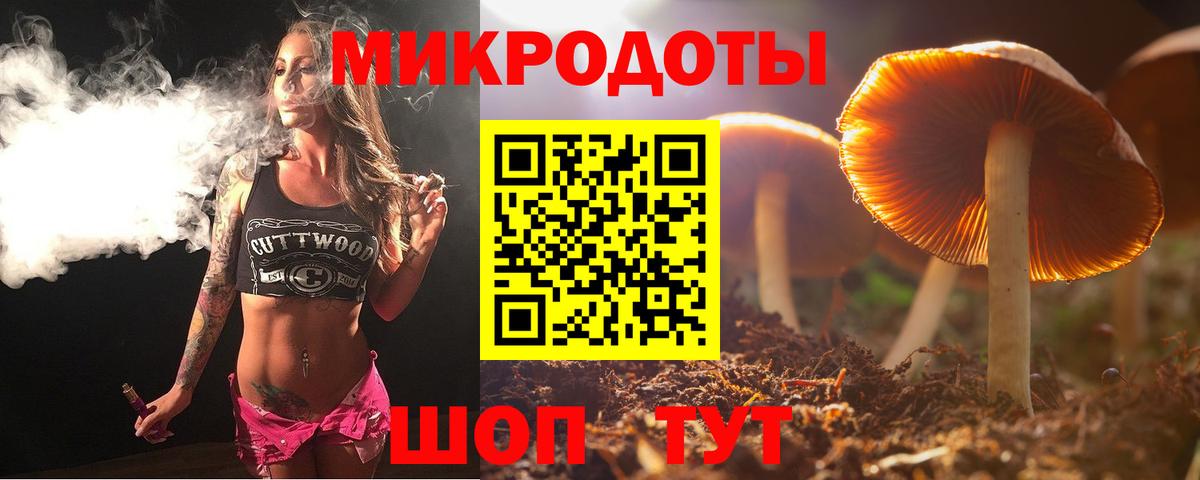 Псилоцибиновые грибы Psilocybine cubensis  Вход с VPN  Псилоцибиновые грибы мицелий  Кумертау 